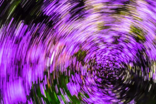 Item #9566349108743429006839101100921653396136012468553527091874592564593846910977 Media