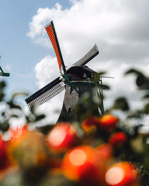 Item #3461261320663593426900354360876375017663922749216533272399435641128539389953 Media