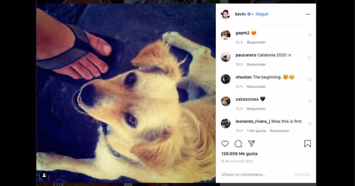 Item #3402563763570975713488404998220997392730250620232355136543058033744852025345 Media