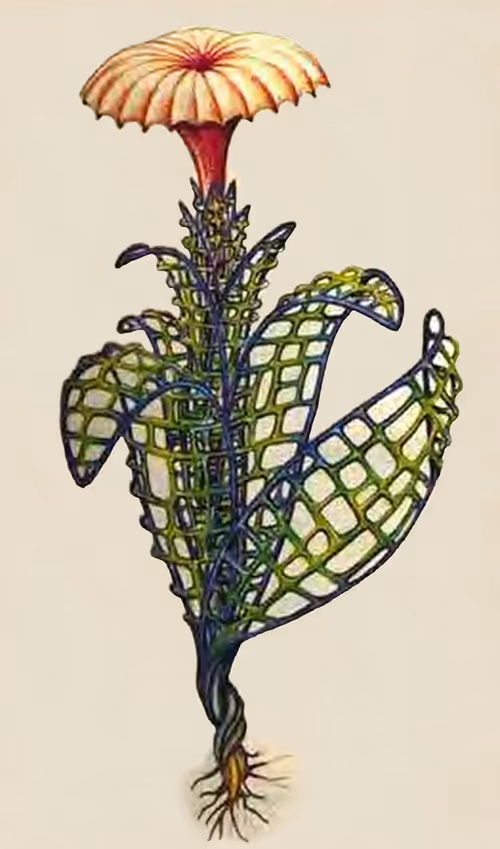 Item #78864796298763862712883292803622526859653475415382773801457426607382808494081 Media