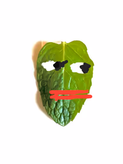 Item Media