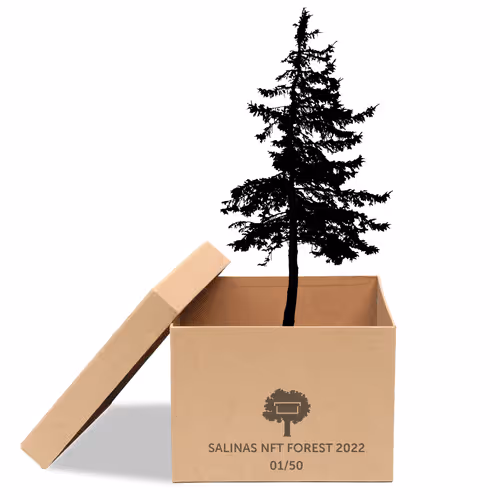 Item #63532776318757439562276927313719991273687356279339277108967620943138512699393 Media