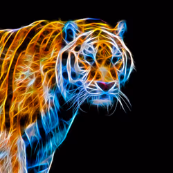 Neon Tiger