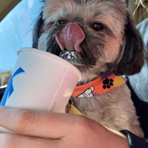 Untitled Collection #27848837