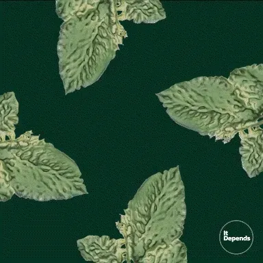 Ai Lucky Plants QGKGlimXUx