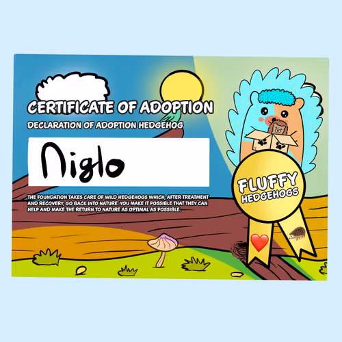 Fluffy Adoptions
