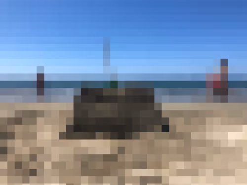 Item #81637681242794262418532593951457986721499944123327111008687415783349704196097 Media