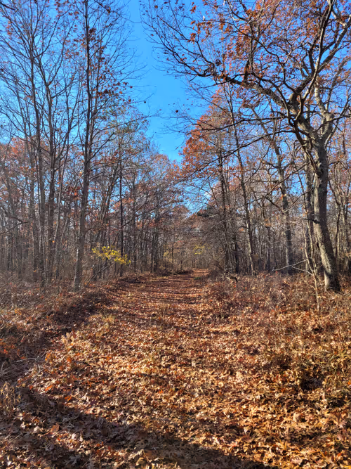 Item #34085441569699423005310991372941828806155687762378495952169943223064592384001 Media