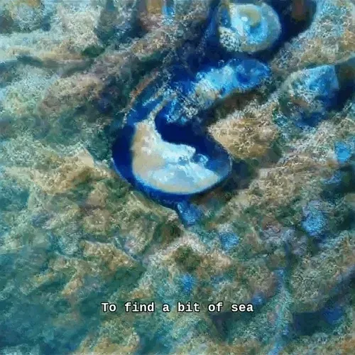 Commutiny Collection