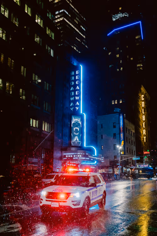 Item #26496075620781707602062900041822142517414676884450269992691667336374102523905 Media