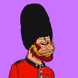 92550217336242294378214336674384792029477121591621680590328886617607642284033