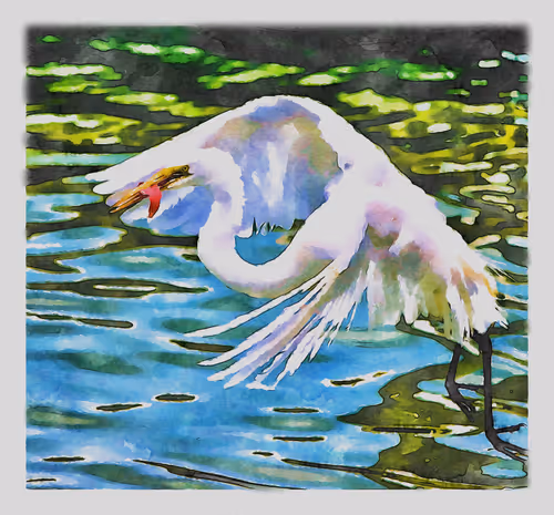 Item #55704534837685659622621715309832868758345944585427688586690141436654575943681 Media