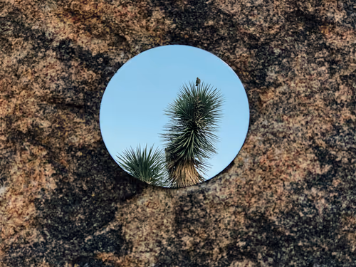 Item #57762364176817967113171601073029693715044262343455038936380107499249978048513 Media