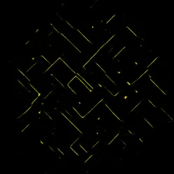 51929734946411346289540790635765095060363125039145709683616697188143543091201