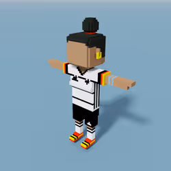 83524287188677228757544920220581068707789764454371608296083880916893095165953