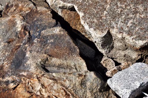 Item #68800123458035658143408460056219206378254568321398204671677926332415657115649 Media