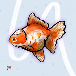 Tangerine 011