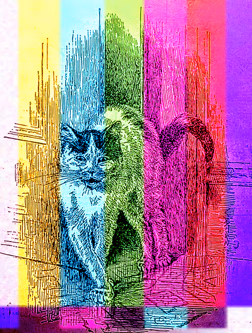 Item #35247308013863639916483757756408588227786114589757564733366544627615469142046 Media