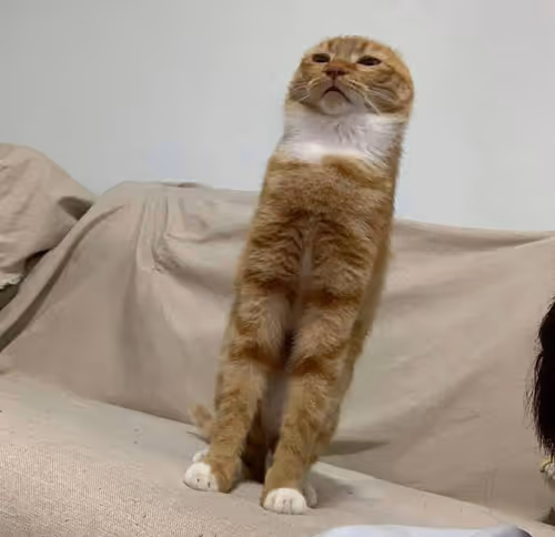 Item #12739459310055312597076395832772822153902922380391220061320839490807326048257 Media