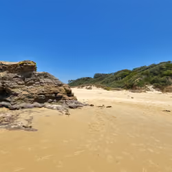 Dolphin Beach 96/96