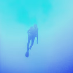 Flying Diver 