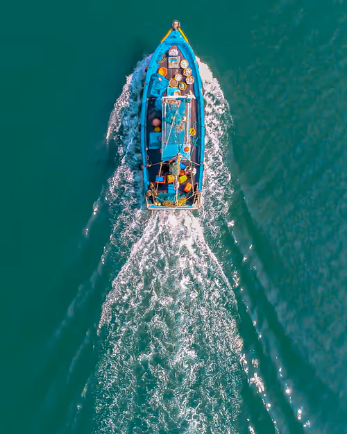 Item #76182420435474433030175106925333141340122143524658153810664851479056986669057 Media