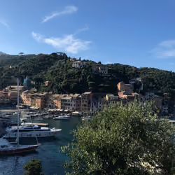 Portofino #5