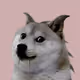 59817357396217109879101338119294961337642020738067916961201953648489208479745