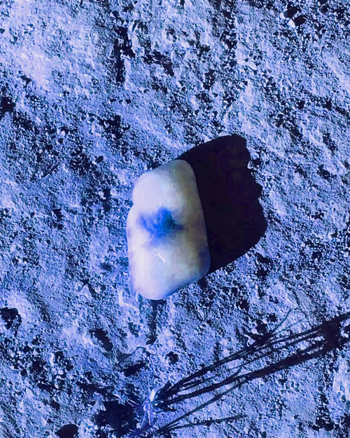 Item #67457553150443021914092587022250176347061355639032054621716076021239305469953 Media