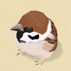 Sparrow_kkmyy#3
