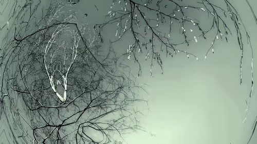 Item #24967146477419090921560663038626653354572651960968859782515528548303589343233 Media