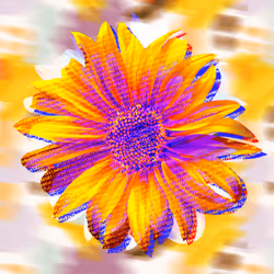 To-Base64-Sunflower2