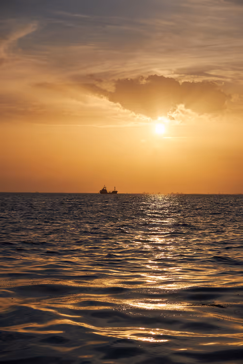 Item #105475816949175725597838668609224528502922702307421382918206128513309032316929 Media