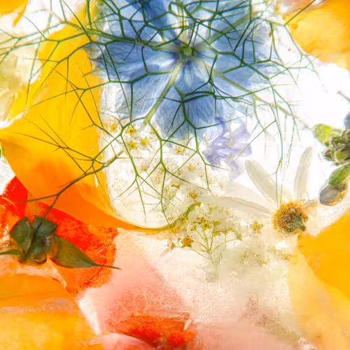 Item #80829721372825377784010953381890255518558028243098186913878117760849525342209 Media