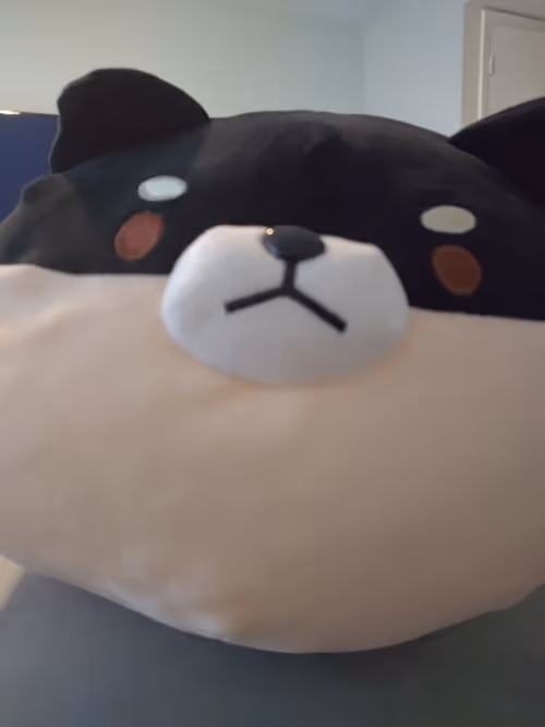 Item #62925101808080370954404470648910429118079131297910456940269467161676969148421 Media