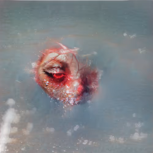 Item #84457744602723809043049191225279009657327463478214710277063869601890802073601 Media