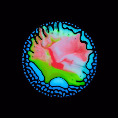 Item #39853347361311550538823328626004824816221754573894422864413753338486738386945 Media