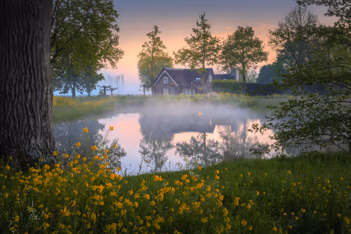 AlbertDros Collection - old