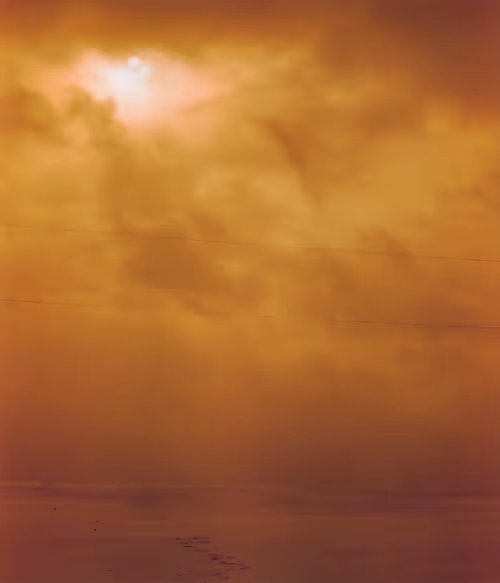 Item #104036062148512439184132714077896509031286887957779838071492283823461865881601 Media