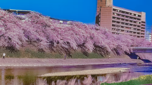 Item #26309083901545567454709889211670292098627789932924015051489478894304238764037 Media