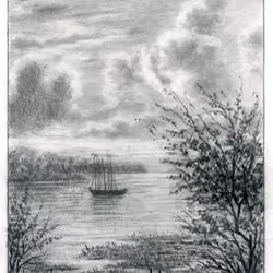 d10