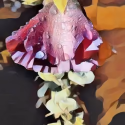 flower power