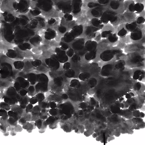 #49 Dawn Painting