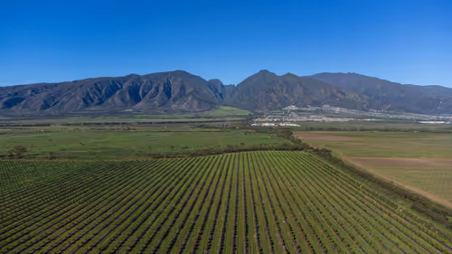 Item #38069088421557280780080489884356511775313840977413642295707171772058252083201 Media