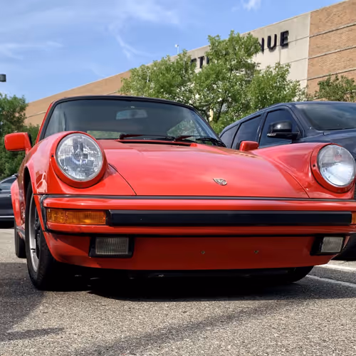 Michigan Beauties