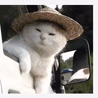 Untitled Collection #61397807