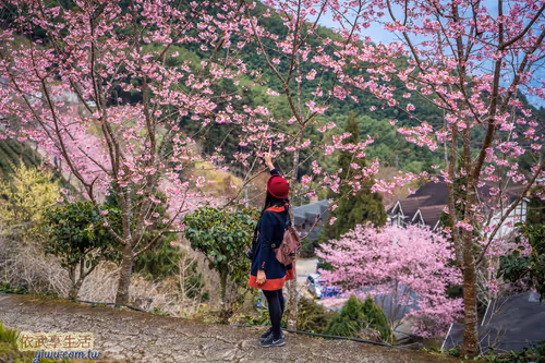 Item #100744422725674417057824683306763013505668843176654858816283483970315420172289 Media