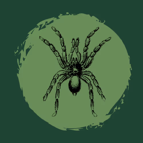 Item #79067907305230177002014129353343413869651970885450883453575323037352455045121 Media