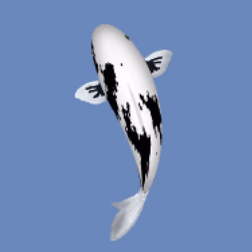 Item #85890538515849146191794191908996501016024634704301377485849142241964786188289 Media