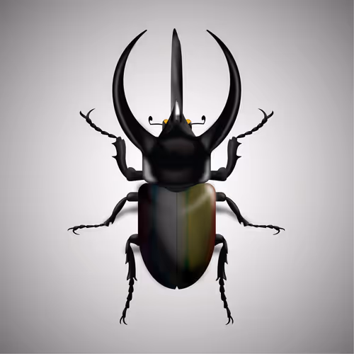 Item #15006194083360452165747859706250248338064014496976576965207408265798759743489 Media